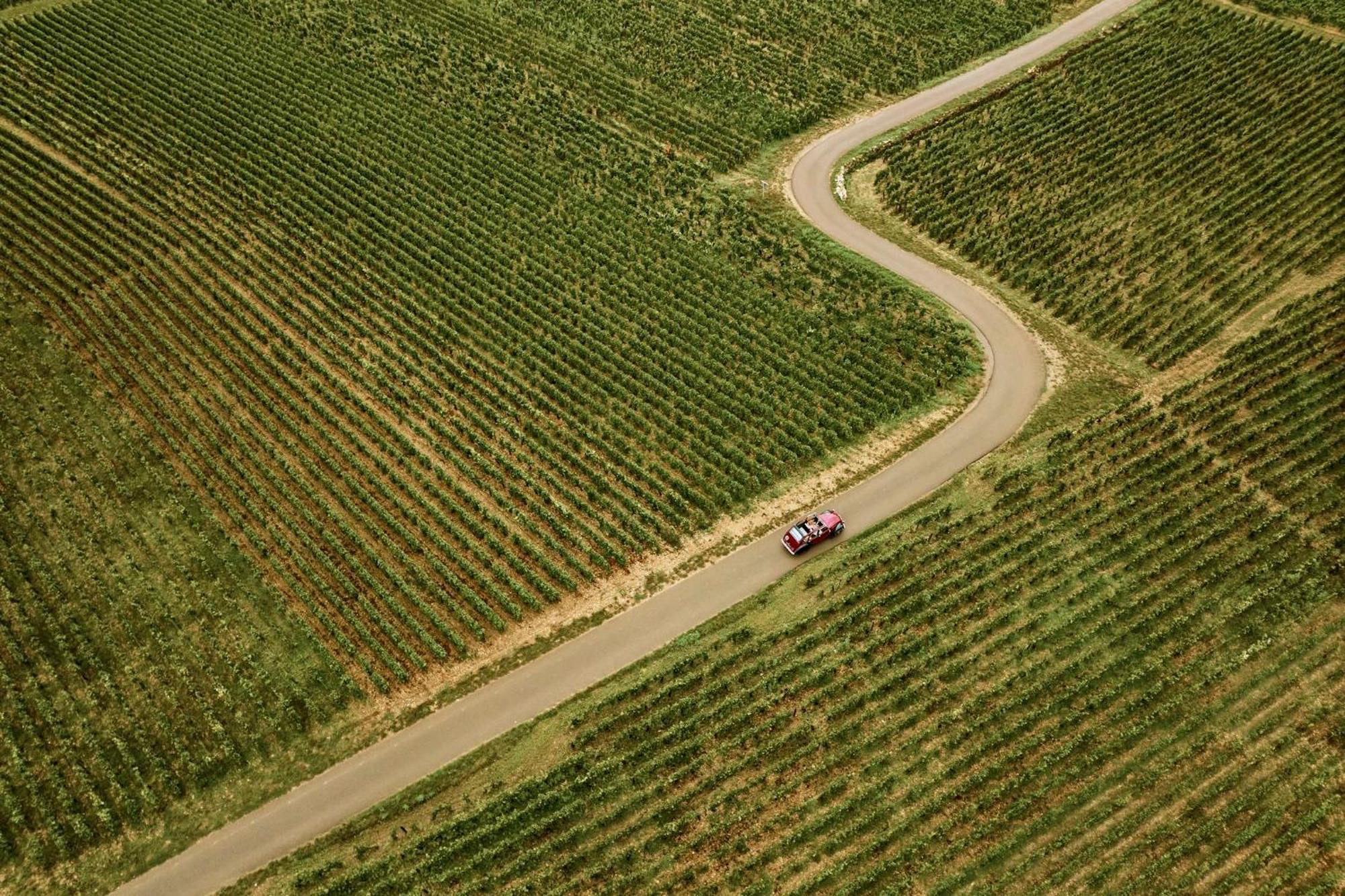 Le Montrachet 5*